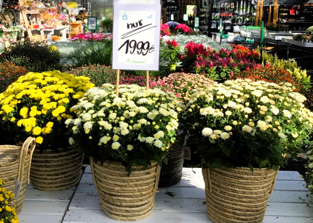 Monheimer Blumenmarkt